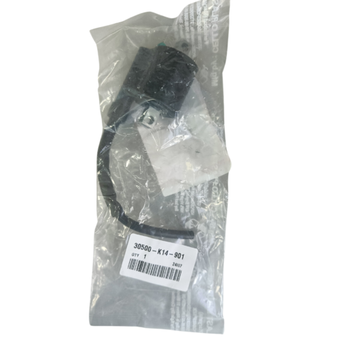 COIL ASSY IGN