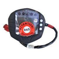 KTEM DUK 250 - BSVI (Export Model)