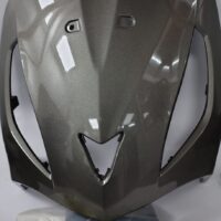 PANEL FRONT + TVS LOGO TITAN G